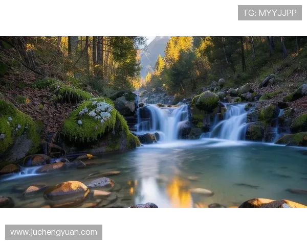 掌握开运登录技巧，让你的每一天都充满幸运与成功的能量