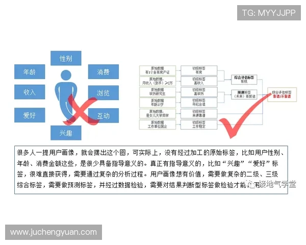 盈禾体育用户评价与口碑分析：真实用户体验助你做出明智的选择