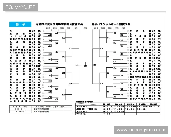 买球的网站大全：涵盖各类足球篮球赛事的优质投注平台全面解析